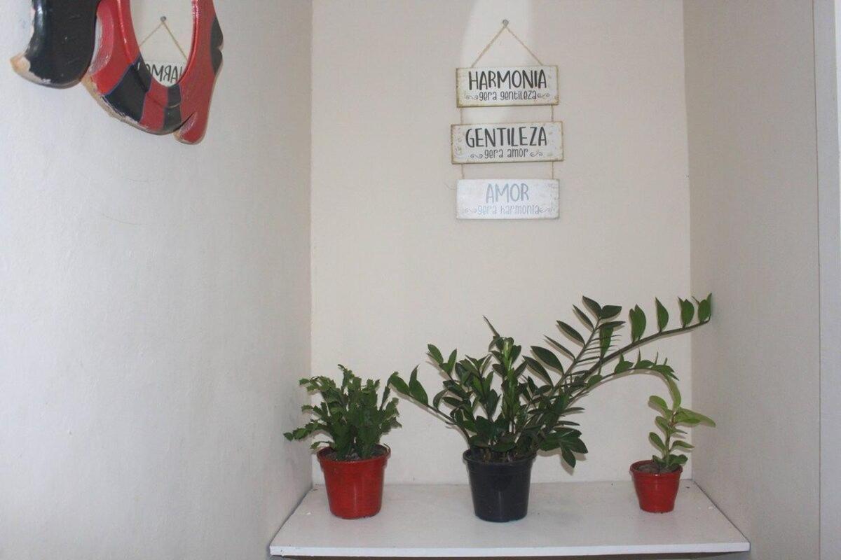 Apto No Centro De - Prox A E Rua Pedras *